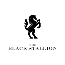 THE BLACK STALLION