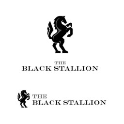 THE BLACK STALLION